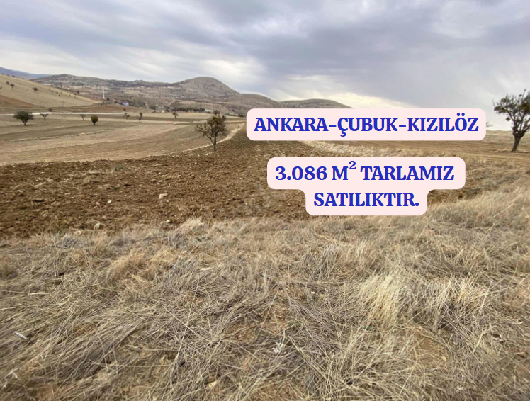İlan Resmi