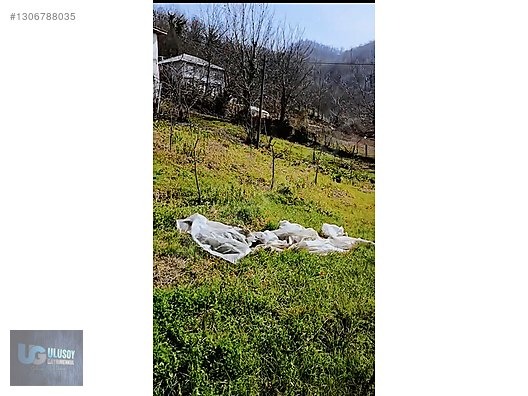DAİRE FİYATINA BİNA VE ARSA - BARTIN MERKEZ fotoğraf 8