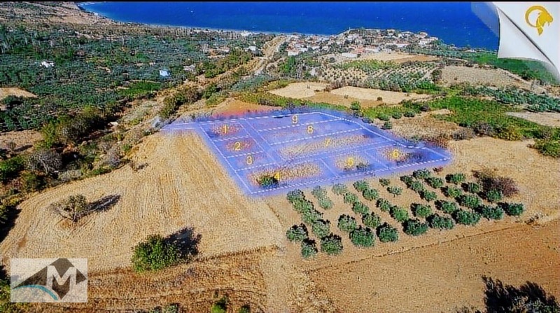 ŞARKÖY GAZİKÖY FULL DENİZ MANZARALI İMARDA SORUNSUZ 1100 m2 - TEKİRDAĞ ŞARKÖY fotoğraf 3
