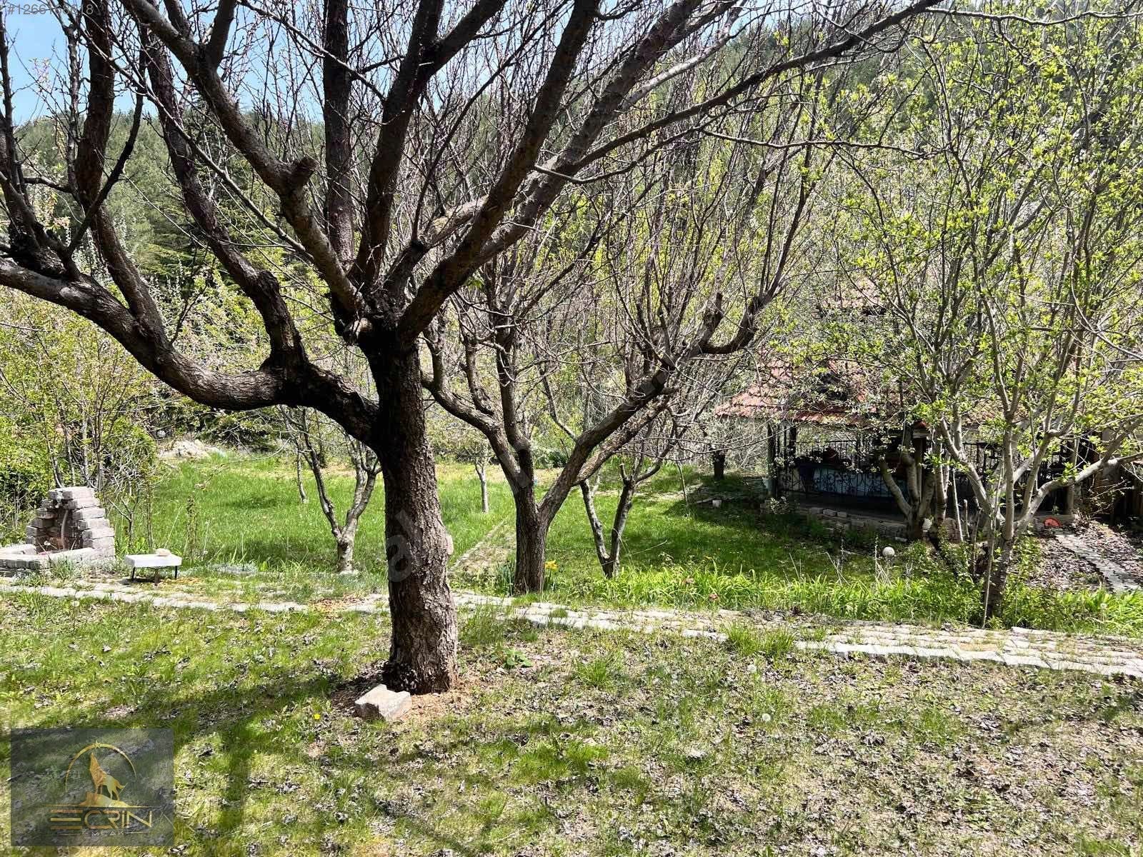 Hacıkadem villalar bölgesinde satılık tripleks villa satılık - UŞAK MERKEZ fotoğraf 21