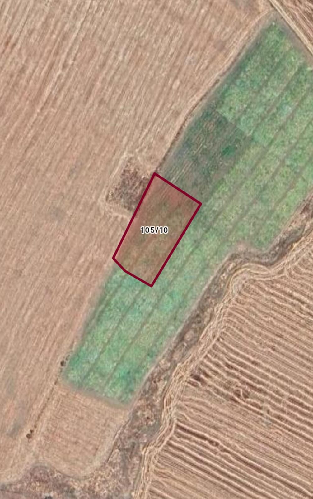 Antalya / Akseki / Cevizli Mahallesinde  1.756 M² SATILIK ARSA  - ANTALYA AKSEKİ fotoğraf 3