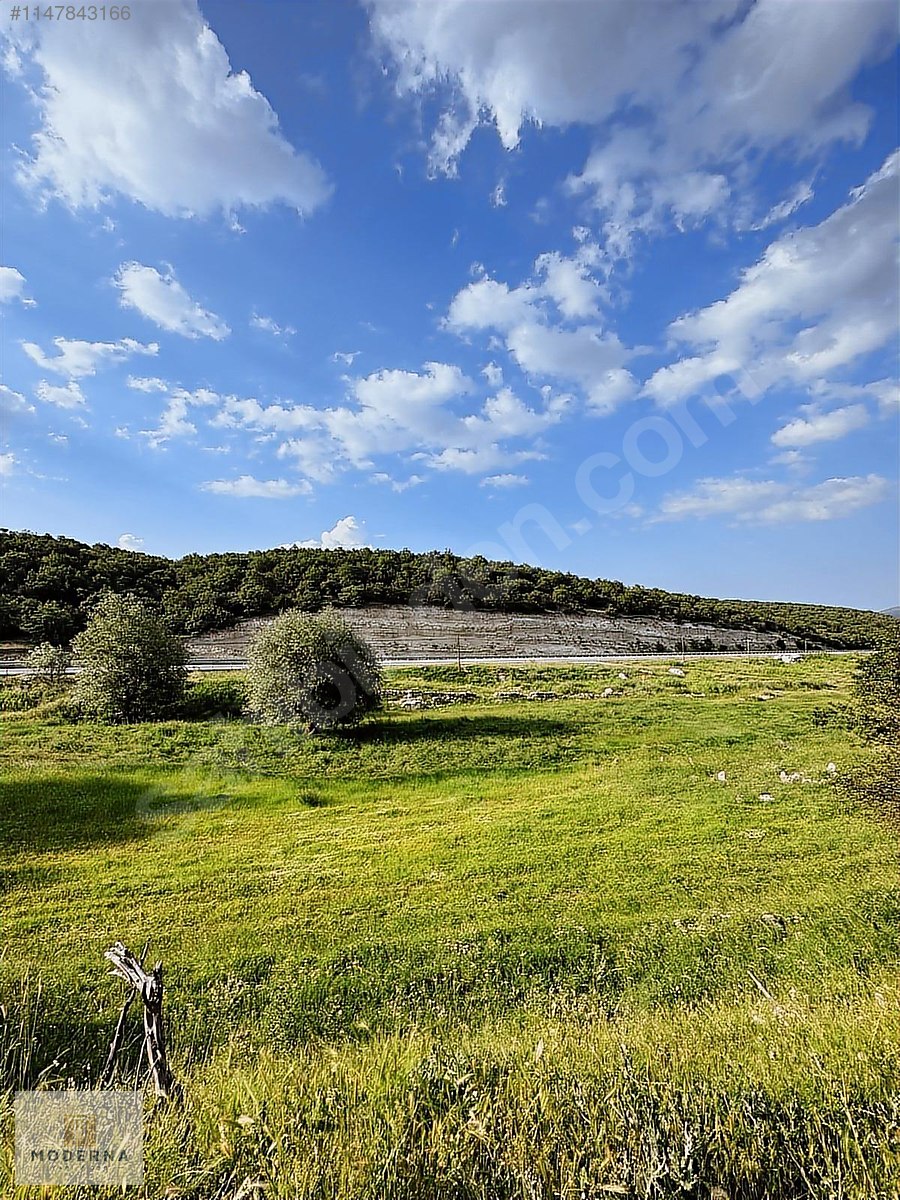 KÜTAHYA MERKEZ ANAYOLA CEPHE 2701 M2 YATIRIMLIK FIRSAT TARLA - KÜTAHYA MERKEZ fotoğraf 13