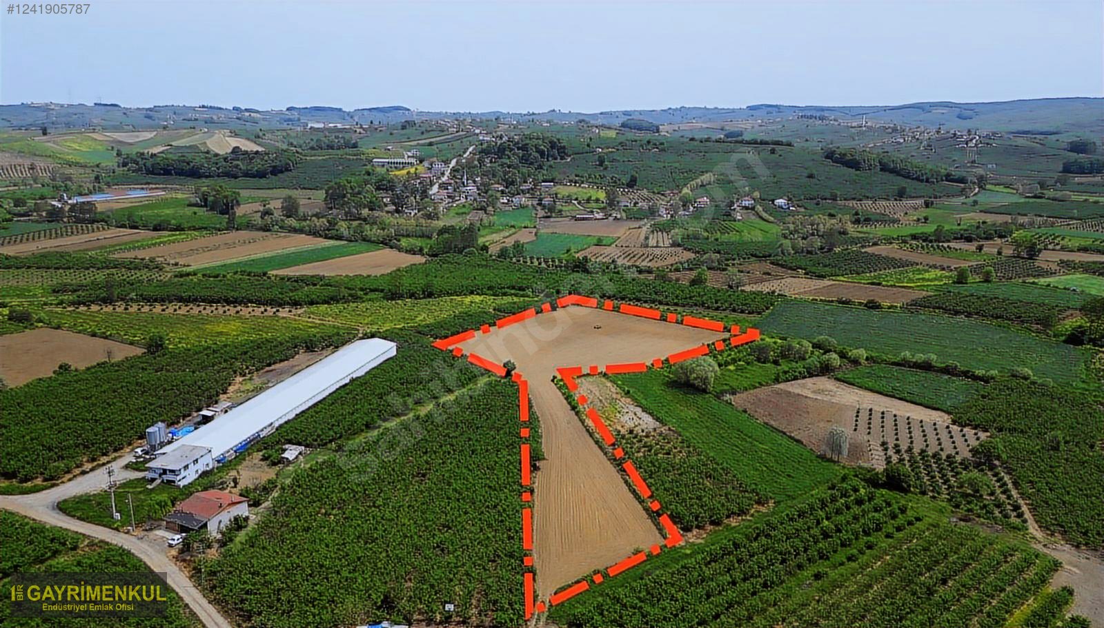 11.752 M² FIRSAT FINDIK BAHÇESİ SAKARYA KAYNARCA ZİAHMET MAH. - SAKARYA KAYNARCA fotoğraf 31