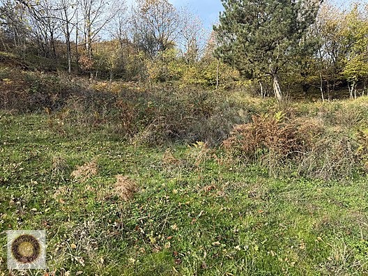 KESTEL LÜTFIYE MH SATILIK 1806M2 TARLA ASVALT YOLA CEPHE - BURSA KESTEL fotoğraf 32
