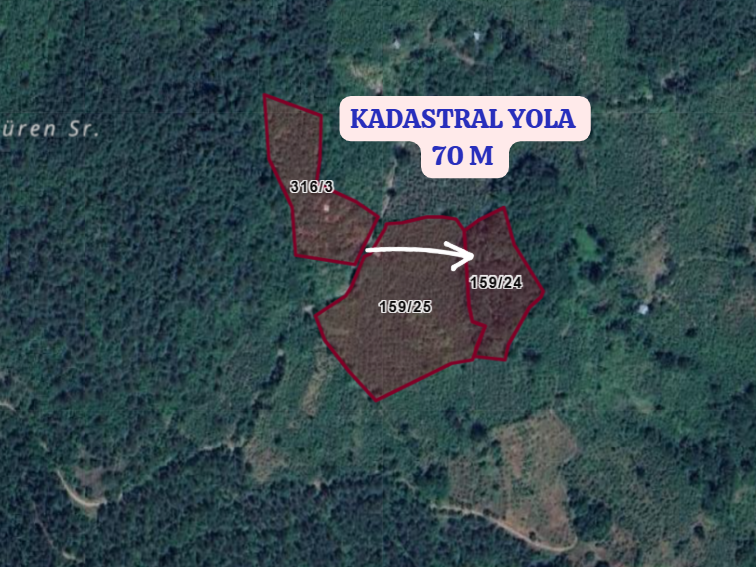DÜZCE YIĞILCA HACILAR  KÖYÜNDE 4.379  M²  FINDIK BAHÇESİ  SATILIKTIR - DÜZCE YIĞILCA fotoğraf 3