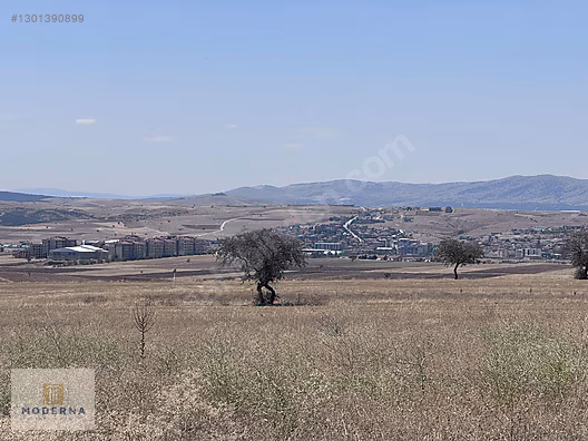 TERMAL BÖLGEDE 11.200 M2 İHSANİYE BOZHÜYÜKCUMHURİYET TEK TAPU! - AFYONKARAHİSAR İHSANİYE fotoğraf 3