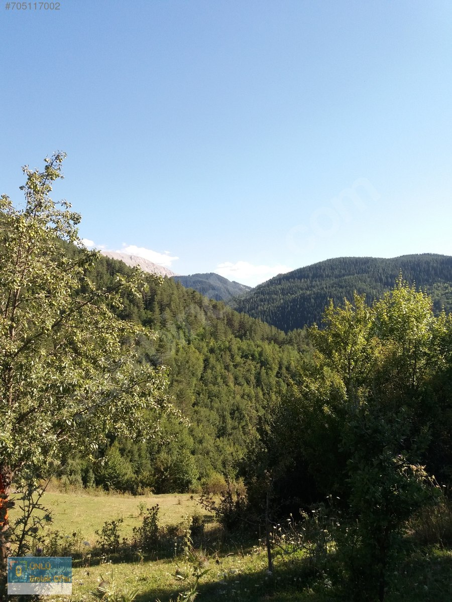 ÜNLÜ EMLAKTAN ILGAZ MANZARALI ORMAN İÇİNDE 50 DÖNÜM CAZİP ARAZİ - KASTAMONU MERKEZ fotoğraf 26