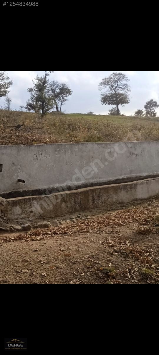 Denge Gayrimenkul BALIKESİR SUSURLUK GÜRECE'DE YATIRIMLIK ARAZİ - BALIKESİR SUSURLUK fotoğraf 12