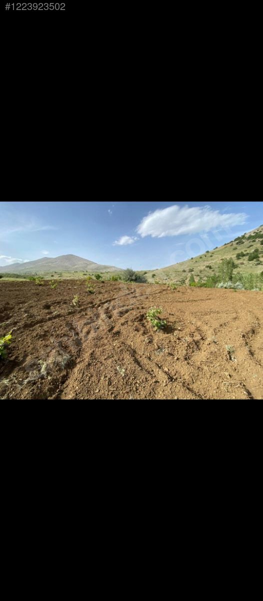 KARAMAN MERKEZ BAŞKIŞLA  1.972 m² BAĞIMIZ SATILIKTIR. - KARAMAN MERKEZ fotoğraf 6