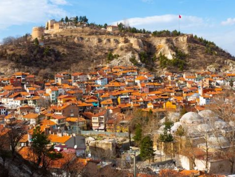 KÜTAHYA HİSARCIK KARBASAN(YENİDOĞAN)'DA 2.930M² TARLA SATILIKTIR - KÜTAHYA HİSARCIK fotoğraf 9
