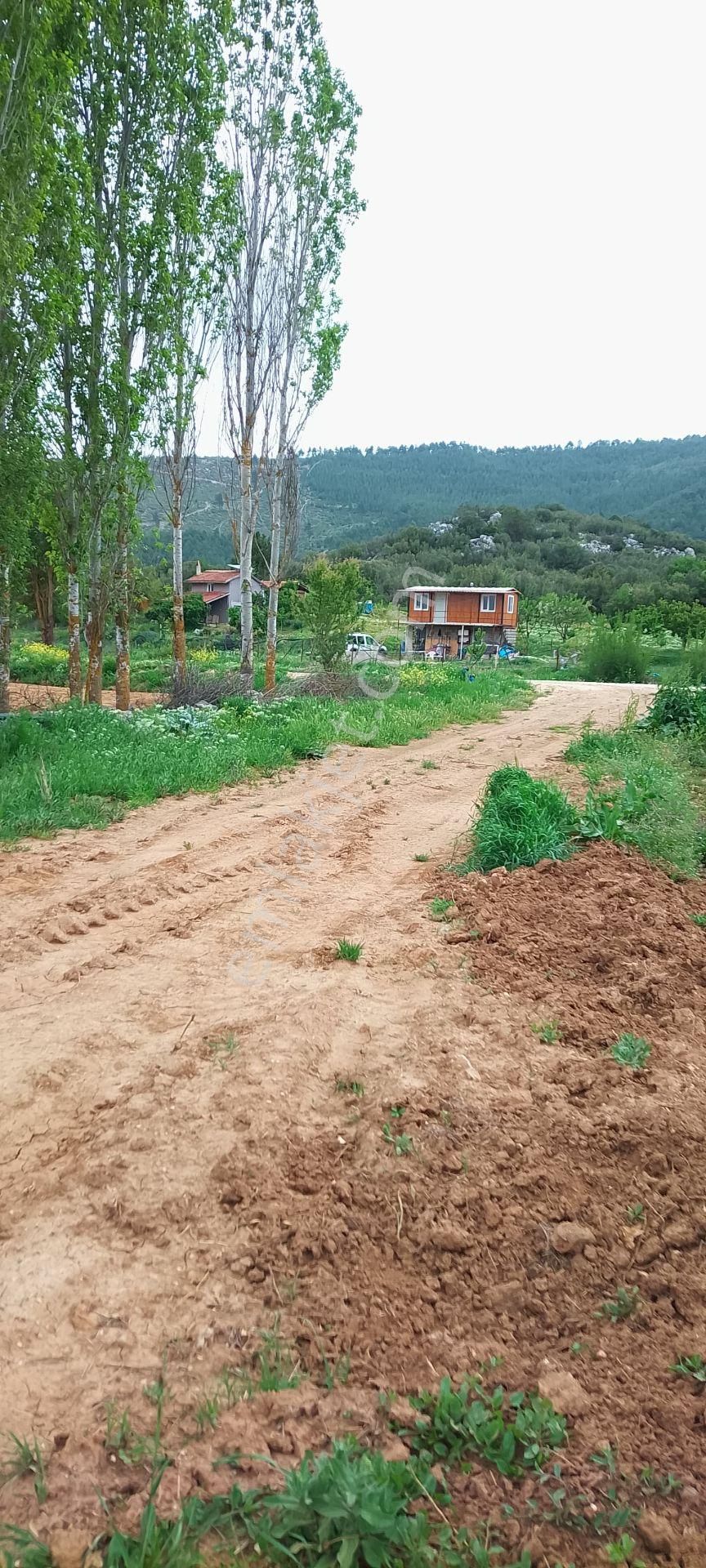 Burdur Ağlasun Hisarköy' De Kadastro Yolu Sulama Suyu Olan Satılık Tarla - BURDUR AĞLASUN fotoğraf 7