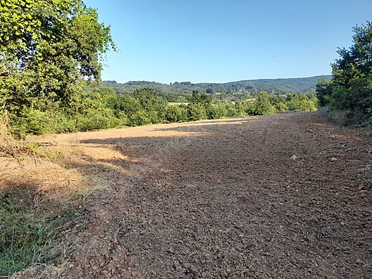 BURSA M.KEMALPAŞA MURADİYESARNIÇ 3.150 M² TARLA SATILIKTIR. - BURSA MUSTAFAKEMALPAŞA fotoğraf 4