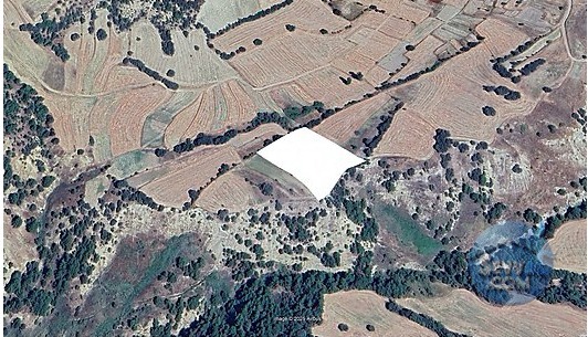 KÜTAHYA GEDİZ GÖLCÜK DE 6.714 M² TARLAMIZ SATILIKTIR - KÜTAHYA GEDİZ fotoğraf 3