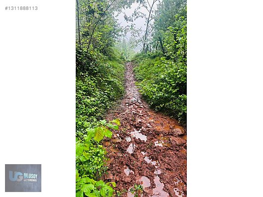14 DÖNÜM TEK TAPU - BARTIN MERKEZ fotoğraf 18