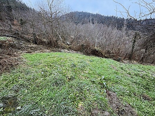 KASTAMONU KÜRE GÜLLÜCE 'DE KÖY İÇİNDE 798 M2 İMARLI UYGUN ARSA - KASTAMONU KÜRE fotoğraf 3
