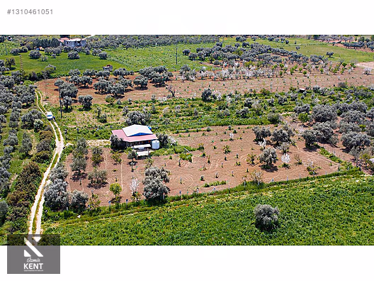 Kemalpaşa Halilbeylide Satılık 3000 m2 Bahçe 40 m2 Ev - İZMİR KEMALPAŞA fotoğraf 26