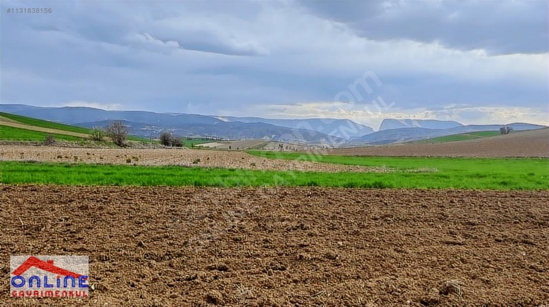 Araç Takaslı - BİLECİK YENİPAZAR fotoğraf 5