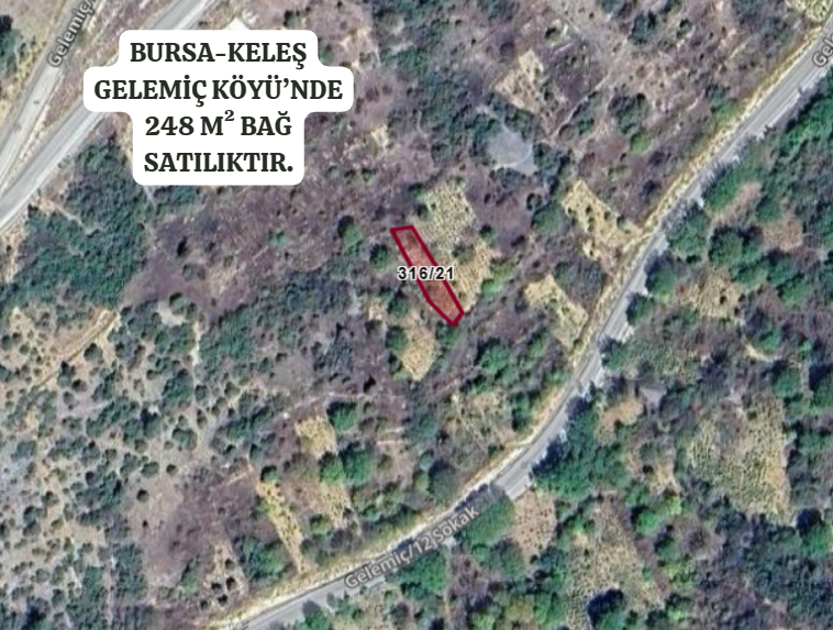 BURSA KELEŞ GELEMİÇ KÖYÜ'NDE 248 M²  BAĞ SATILIKTIR - BURSA KELES fotoğraf 2