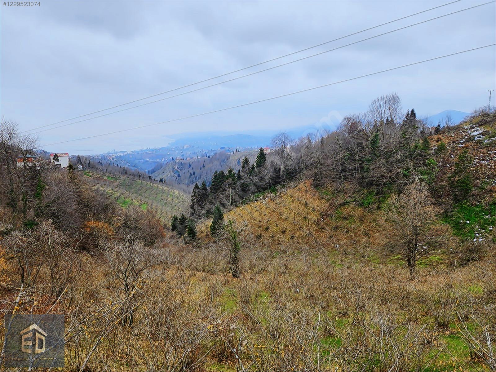 E&D GYO'DAN TRABZON KAVALA'DA SATILIK 1050 M² MANZARALI ARSA - TRABZON ORTAHİSAR fotoğraf 8