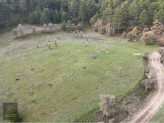 BOLU MUDURNU'DA OTELLER BÖLGESİNDE 7.965M2 UYGUN ARSA - BOLU MUDURNU fotoğraf 28
