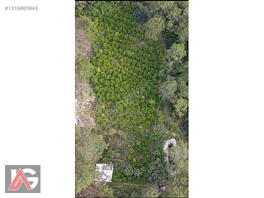 Doğanın İçinde, Deniz Gören, Elektrik ve Suyu Hazır Fırsat Arazi - ANTALYA KUMLUCA fotoğraf 32