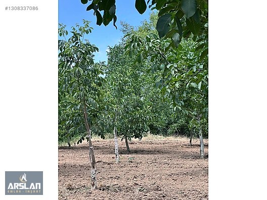 İNEGÖL ÇİTLİ'MAH 11,000m² SATILIK BAKIMLI CEVİZ BAHÇESİ - BURSA İNEGÖL fotoğraf 7