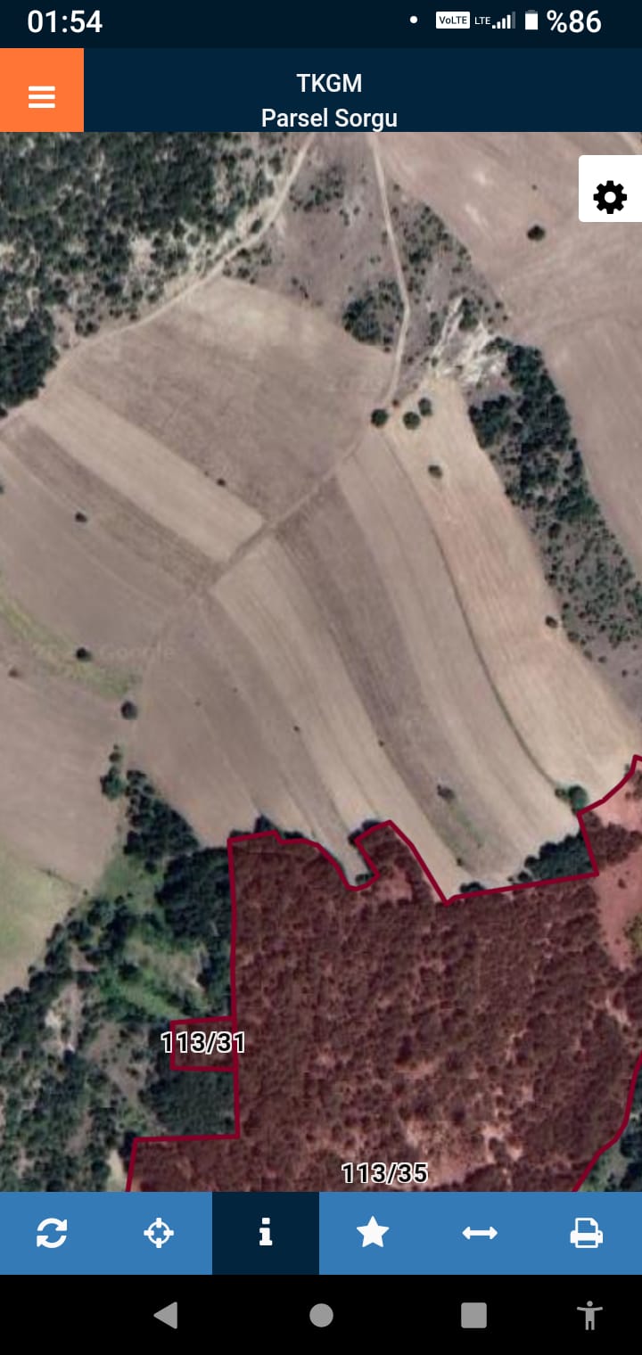 BİLECİK GÖLPAZARI DERELİ KÖYÜ SATILIK TARLA 1000m² - BİLECİK GÖLPAZARI fotoğraf 5