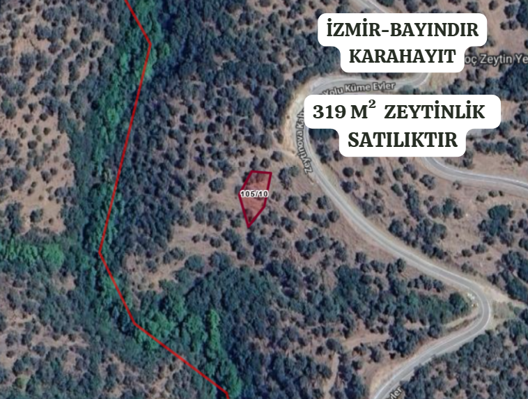 İZMİR BAYINDIR KARAHAYIT  KÖYÜNDE 319  M² ZEYTİNLİK  SATILIKTIR - İZMİR BAYINDIR fotoğraf 2