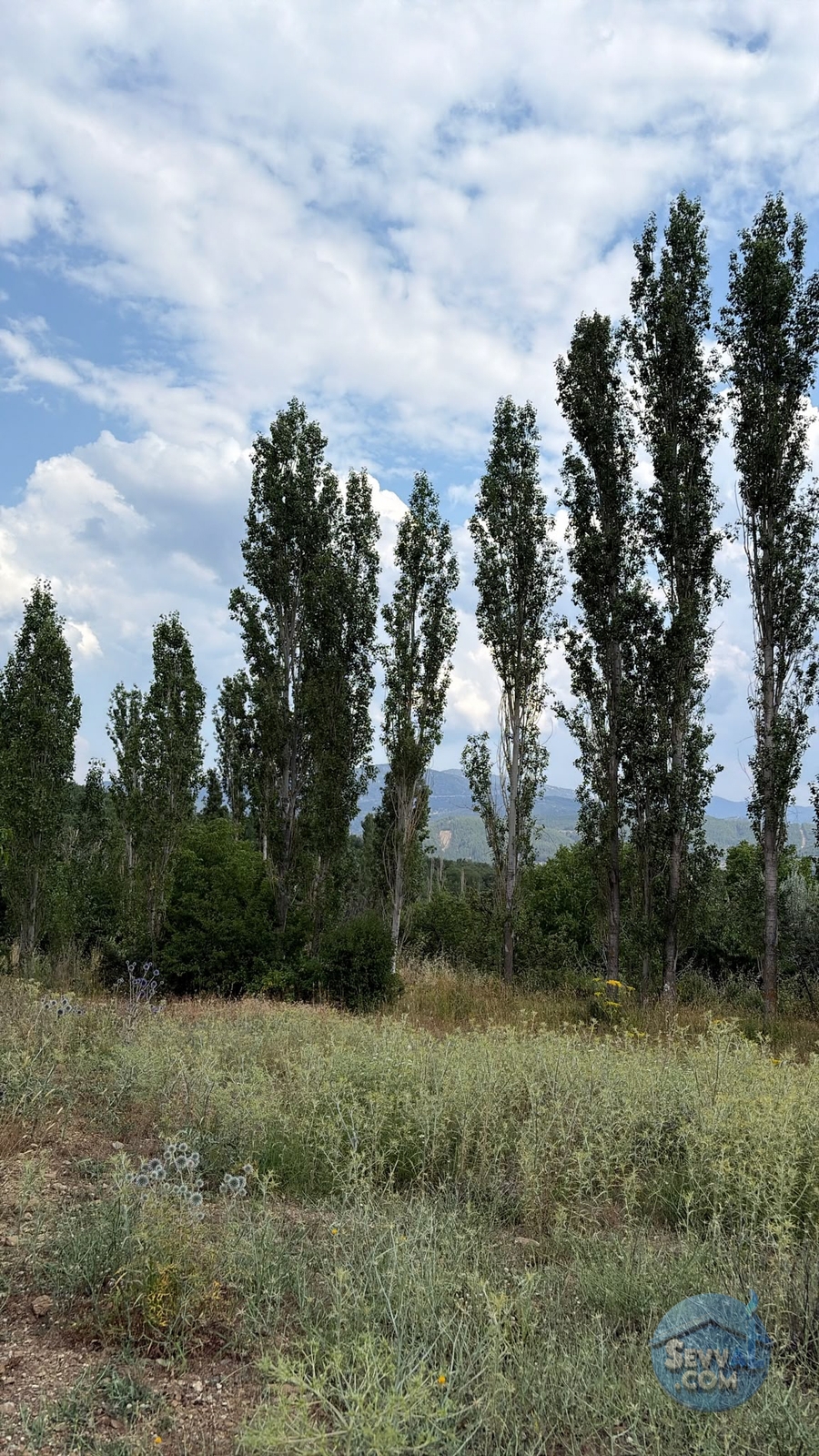 AĞLASUN KIRAÇ MAHALLESİNDE SATILIK FIRSAT ARAZİ - Burdur Ağlasun fotoğraf 5
