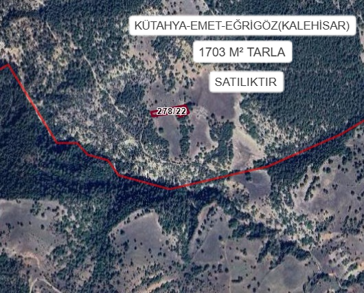 KÜTAHYA EMET EĞRİGÖZ (KALE HİSAR)KÖYÜ’NDE 1703 M² TARLA SATILIKTIR - KÜTAHYA EMET fotoğraf 2