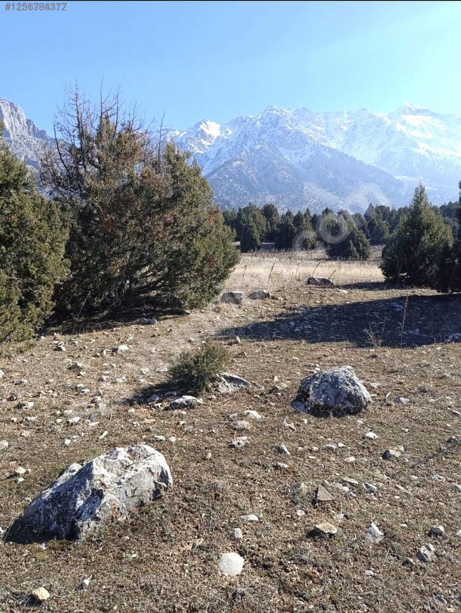 Pozantı Fenese Yaylasında Mükemmel Düz Zemin Harika Acil Kaçmaz 400M²  ARSA - ADANA POZANTI fotoğraf 7