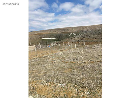 ANKARA ELMADAĞ HASANOĞLU HAVUZBAŞI KÖYÜNDE 600 M²  ARSA SATILIKTIR - ANKARA ELMADAĞ fotoğraf 8