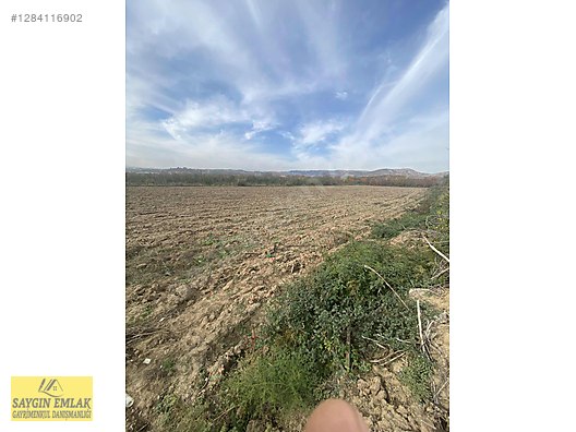 AMASYA MERKEZ DURUCA SATILIK TARLA 11.611 MK - AMASYA MERKEZ fotoğraf 9
