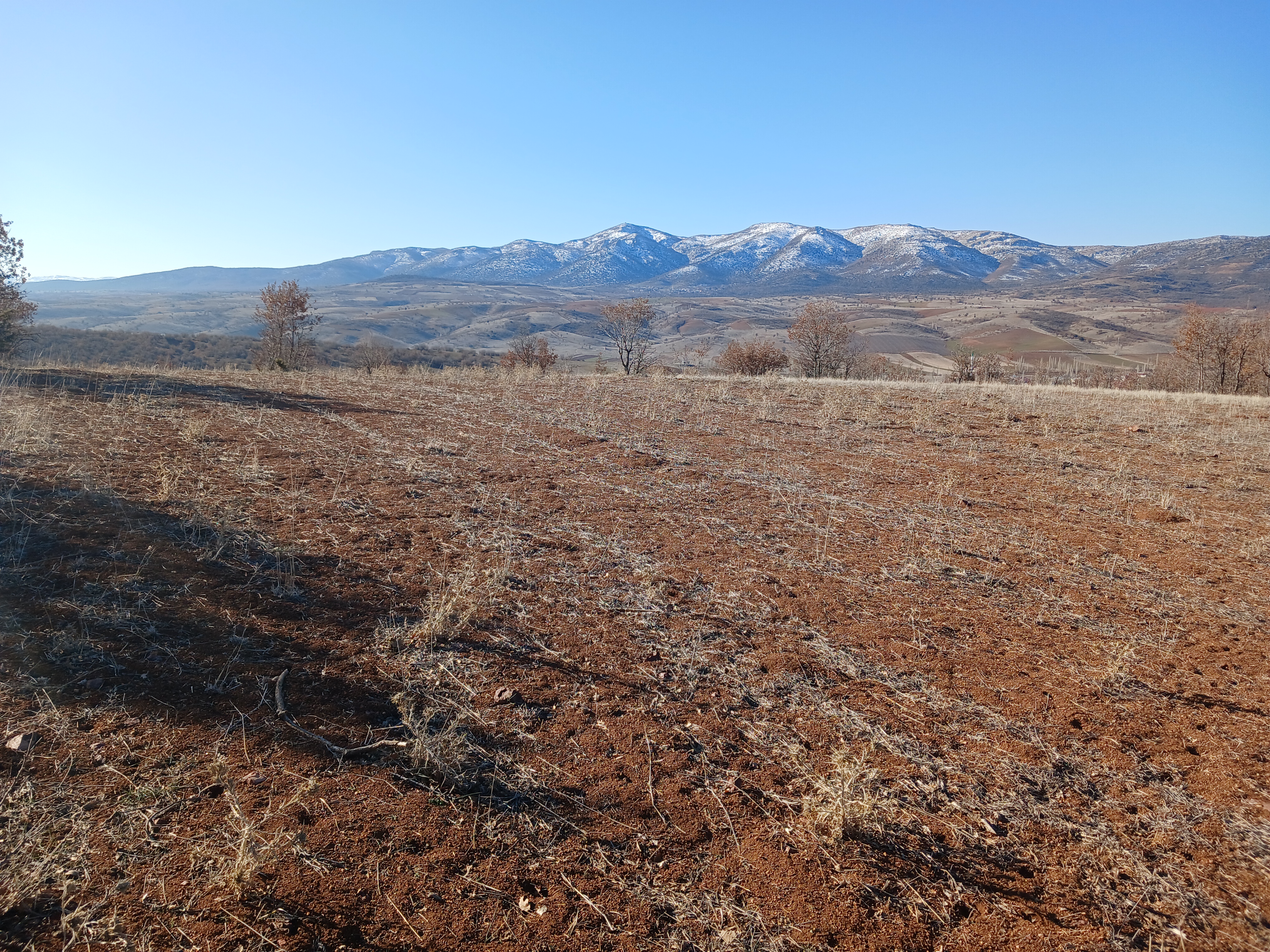 KONYA GÜNEYSINIR KAYAAĞZI KÖYÜNDE 4.477 M²  TARLA SATILIKTIR - KONYA GÜNEYSINIR fotoğraf 3