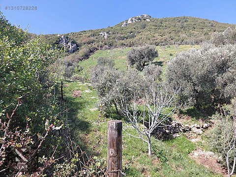 Kemalpaşa Soğukpınar İmar Gelişim Alanında Satılık 2,877m2 Bahçe - İZMİR KEMALPAŞA fotoğraf 11