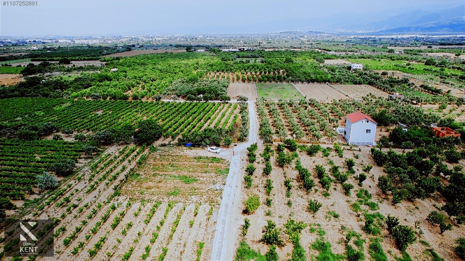Kemalpaşa Aşağıkızılca Satılık Bahçe Tek Tapu 881 m2 - İZMİR KEMALPAŞA fotoğraf 10