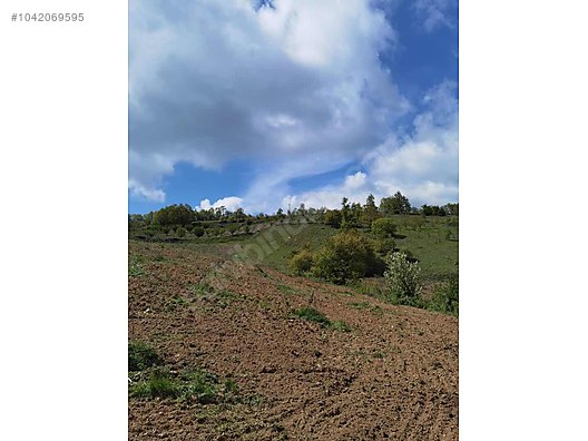 BURSA İZNİK TACİR KÖYÜNDE 13.056 M TARLA SATILIKTIR - BURSA İZNİK fotoğraf 19