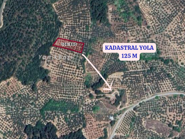 BURSA MUDANYA DEREKÖY KÖYÜNDE 1.834 M² ZEYTİNLİK SATILIKTIR. - BURSA MUDANYA fotoğraf 3