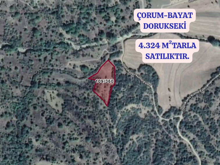 ÇORUM BAYAT DORUKSEKİ KÖYÜNDE  4.324  M² TARLA  SATILIKTIR - ÇORUM BAYAT fotoğraf 2