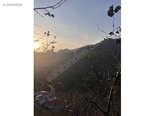 ESPİYE SATILIK BAHÇE 2650 MK HACIMAHMUTLU KÖYÜ ŞEHRE 15 DK - GİRESUN ESPİYE fotoğraf 8