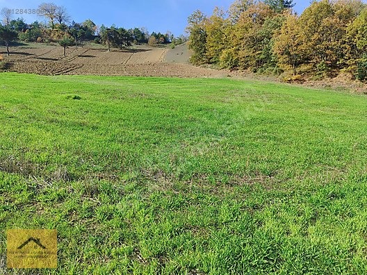 GEYVE ÇUKURKÖYDE RESMİ YOLU SATILIK - SAKARYA GEYVE fotoğraf 5