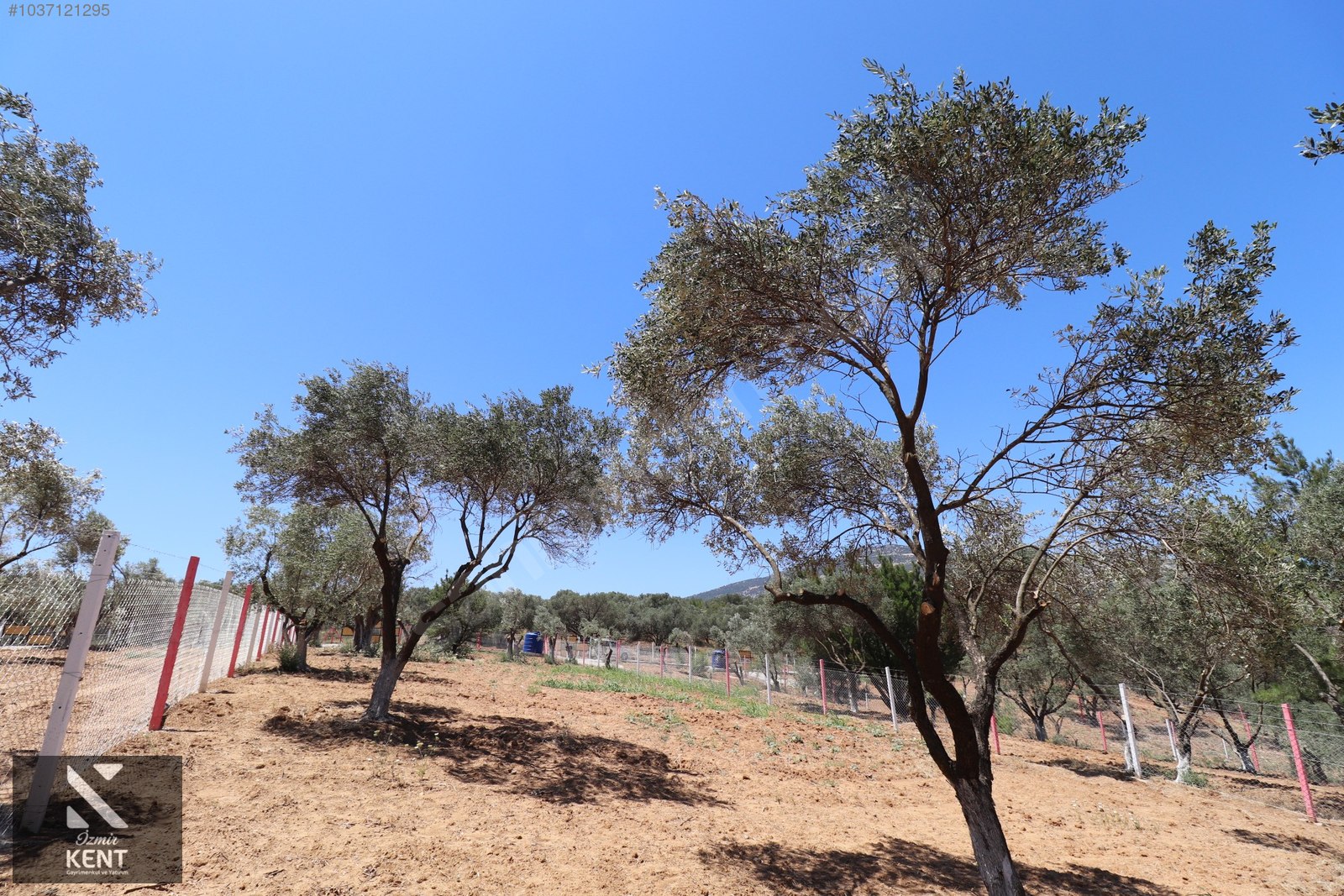 Kemalpaşa Çambel Satılık Bahçe 1.528 m2 - İZMİR KEMALPAŞA fotoğraf 30