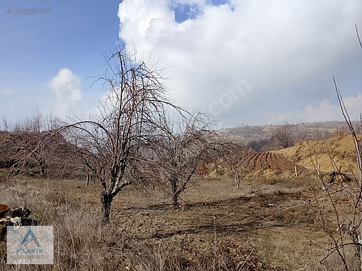 Atlantik'ten Ovacık Yaylası nda satılık Bahçe - İZMİR ÖDEMİŞ fotoğraf 8