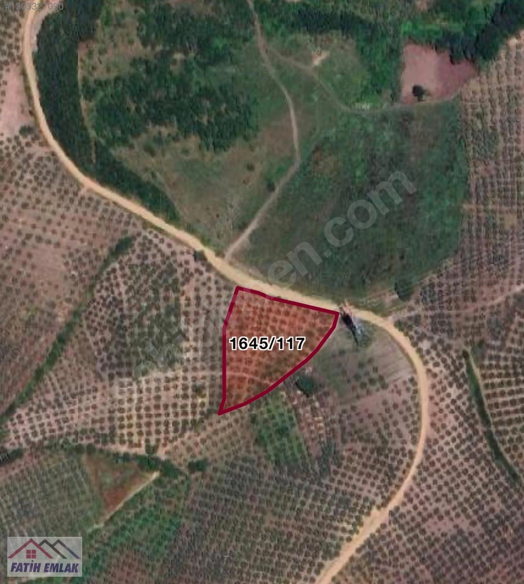 GEMLİK MURATOBA KÖYÜNDE 4695m² SATILIK ZEYTİNLİK - BURSA GEMLİK fotoğraf 31