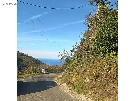 TİREBOLU CİVİL KÖYÜNDE SATILIK İÇİNDE EV OLAN FINDIK BAHÇESİ - GİRESUN TİREBOLU fotoğraf 10