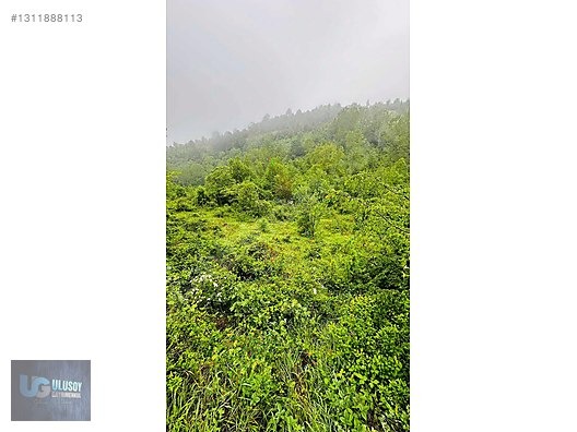 14 DÖNÜM TEK TAPU - BARTIN MERKEZ fotoğraf 10