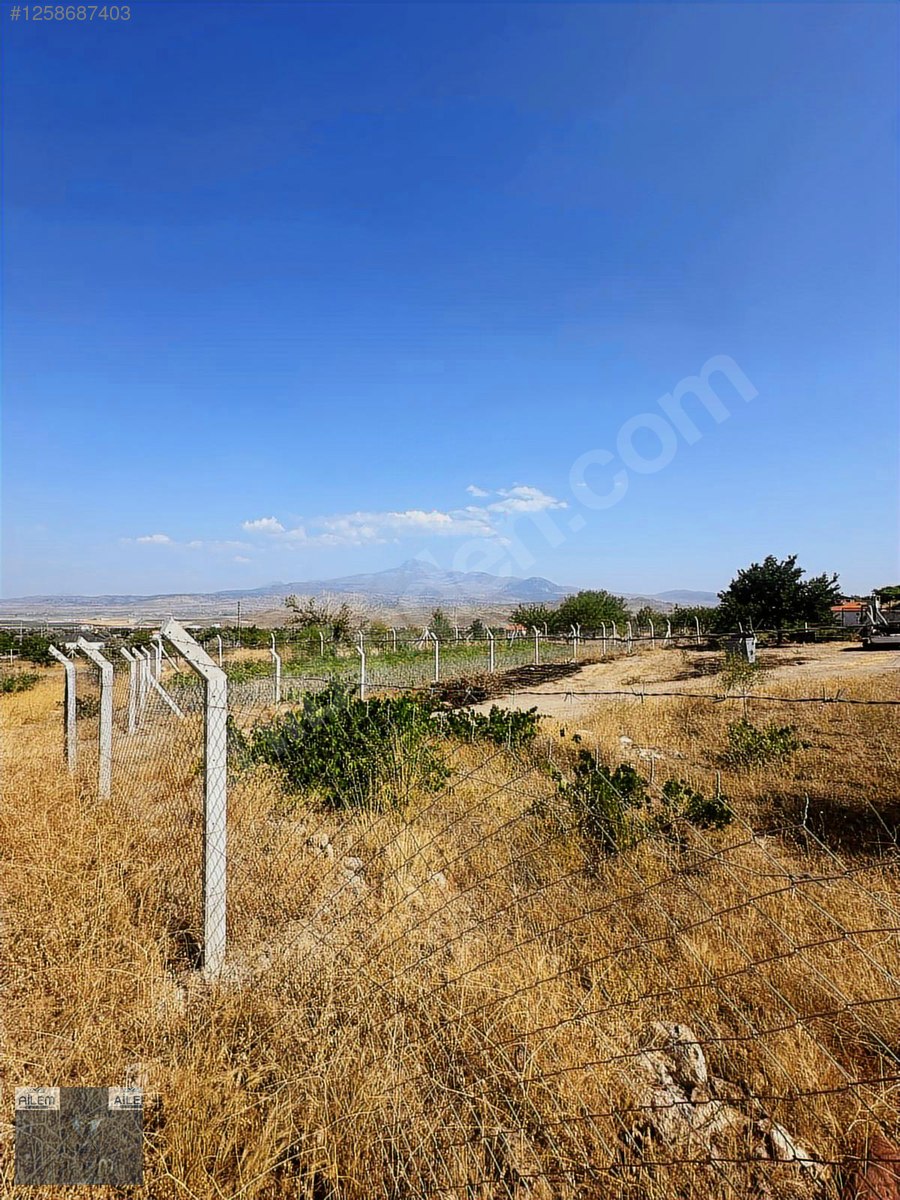 İNCESU GARİPÇE DE SATILIK 442 M2 ETRAFI ÇEVRİLİ BAĞ BAHÇE - KAYSERİ İNCESU fotoğraf 5