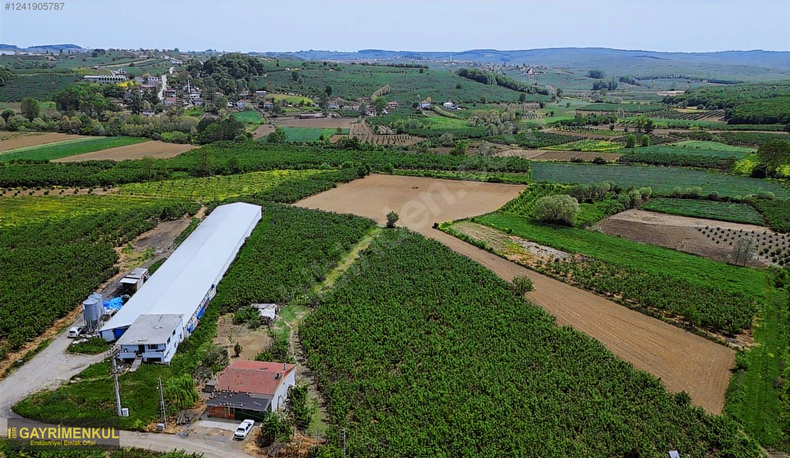 11.752 M² FIRSAT FINDIK BAHÇESİ SAKARYA KAYNARCA ZİAHMET MAH. - SAKARYA KAYNARCA fotoğraf 46
