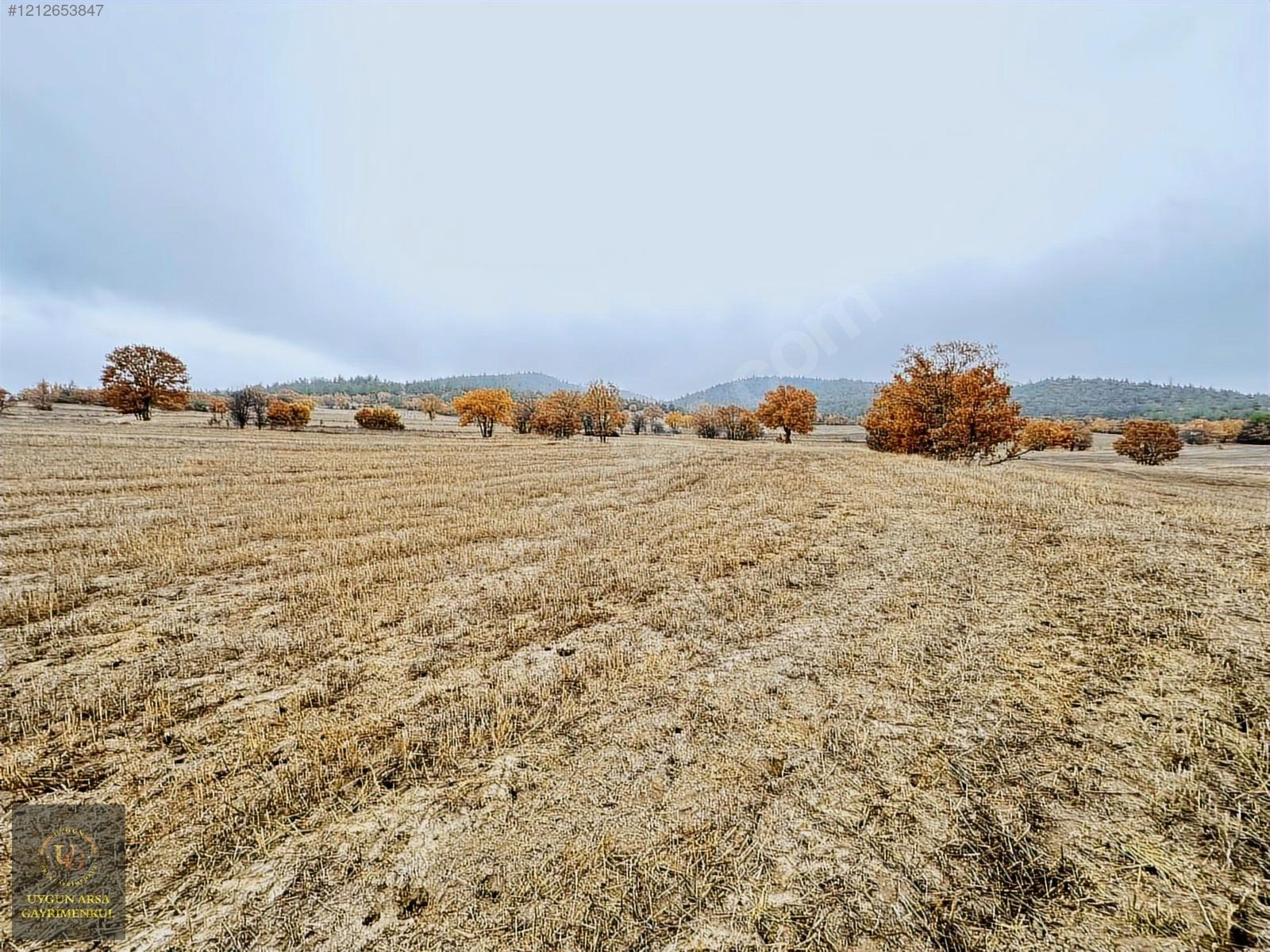 BOLU GÖYNÜK KARAARDIÇ'TA 4.921 M2 UYGUN ARSA - BOLU GÖYNÜK fotoğraf 7