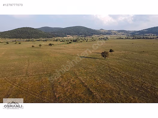 HİSARCIK'TA 4.675 M2 KÖŞE PARSEL YATIRIM FIRSATI - BİLECİK OSMANELİ fotoğraf 6